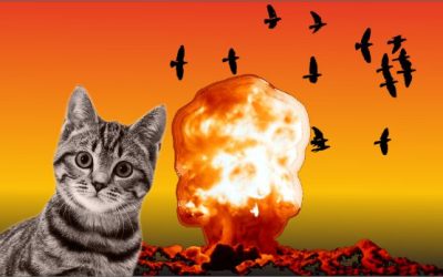 ANIMALES EN EL CAMPO DE BATALLA