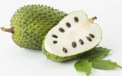 LA GRAVIOLA – verdades y mentiras nutricionales o terapéuticas