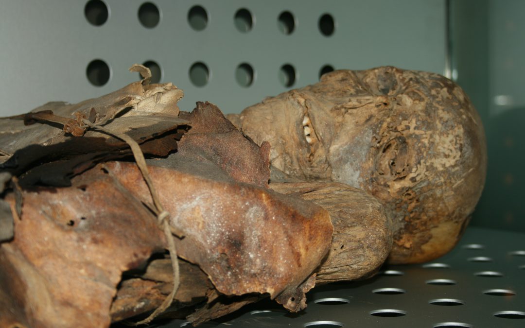 TAHOCES Y MANUAL DEL INVESTIGADOR; CRÓNICA DEL CONGRESO DE MOMIAS; JUEGOS INÉDITOS GUANCHES; CSB EN CANARIAS RADIO