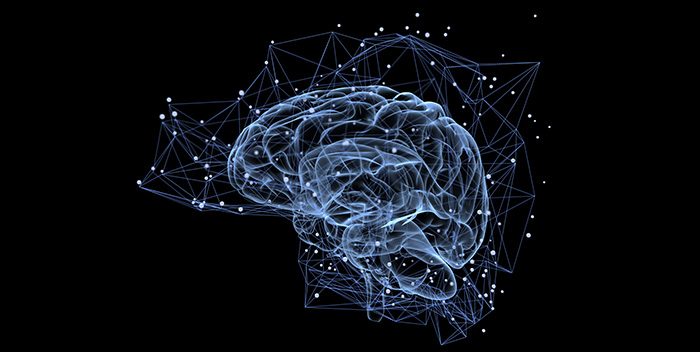 Cerebro feliz, cerebro sano, cerebro óptimo; Cuevas, receptáculos del misterio; Las claves de Contact; La sommelier de las hierbas…este viernes en CSB