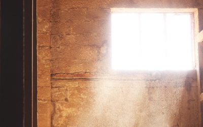 Espiritualidad y nuevo pensamiento metafísico