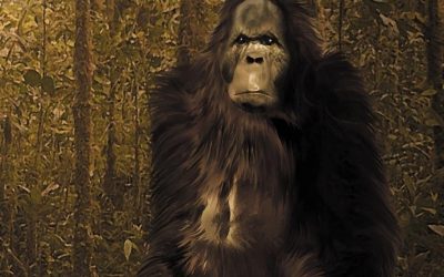 ORANG PENDEK: El PRIMATE OLVIDADO de SUMATRA