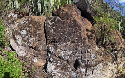 Las representaciones antropomorfas de Barranco Seco (Puntallana, isla de La Palma)