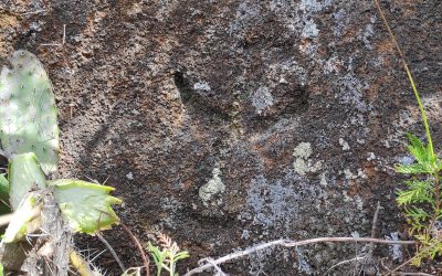 Barranco de Atajo: espacio sagrado, la senda de los orantes.