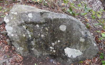 La Roca del Muerto: Un nuevo panel de inscripciones Guanches Íberas en Tenerife