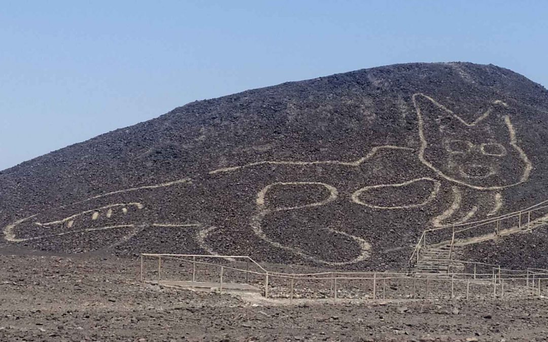 CSB12-7 Nazca y sus geoglifos en peligro; el lado positivo de las emociones negativas; OVNIs, una visión unificadora; medicina vibracional