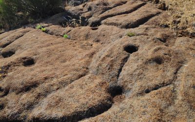TENO ANCESTRAL: los recintos de La Tosquita y Morro el Pajal