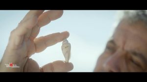 CSB13-22 Cosmovisión Awara con Miguel Martín; romanos en Canarias; geobiología y vida sana, este viernes en CSB