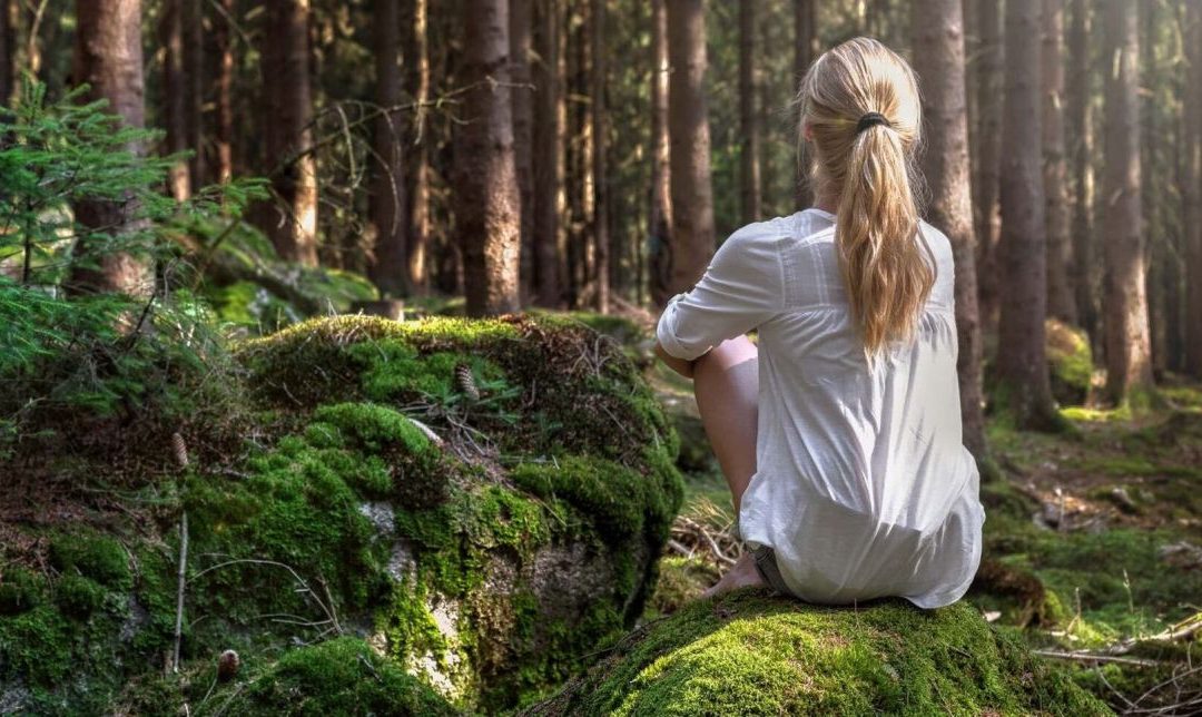 CSB15-35 Ciencia, naturaleza y bienestar; Cronovisor; Cruces y misterio; Sixto Paz.