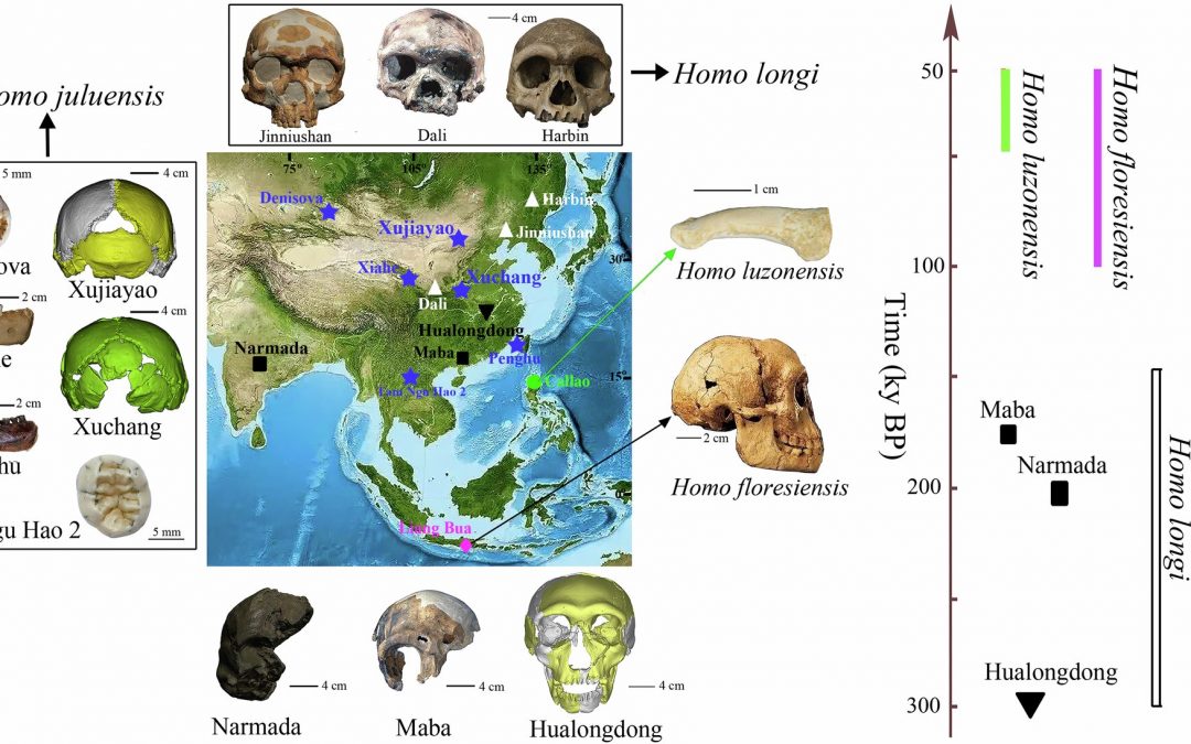 ¿Nueva especie humana? Eso parece, el Homo juluensis