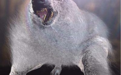 Las White Thing, o los tibicenas de Los Apalaches