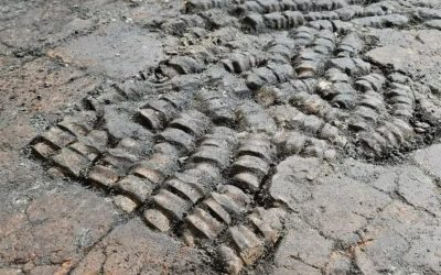 Un pavimento de huesos en Holanda