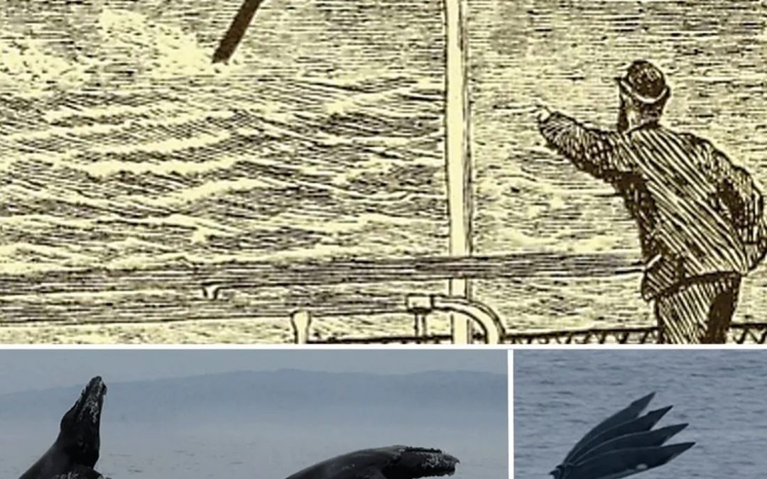 Sea Serpents: novedad de Adrian Shine