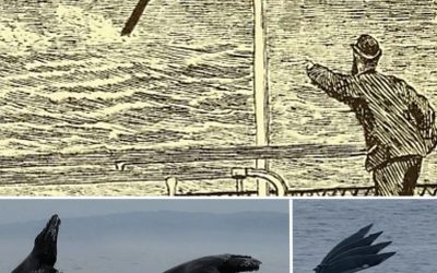 Sea Serpents: novedad de Adrian Shine